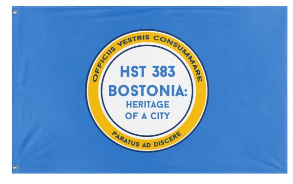 Boston History flag (Matthew Albanese) (Hidden) For Sale