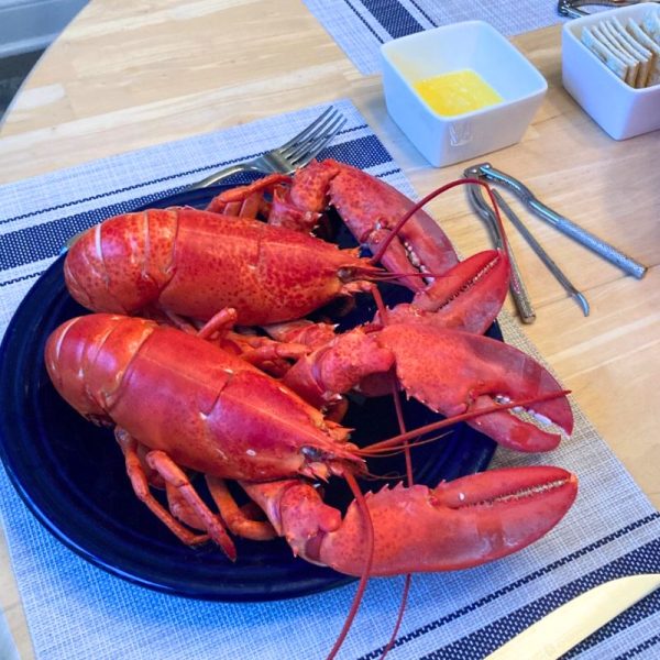 Live Maine Lobsters Fashion - Image 2