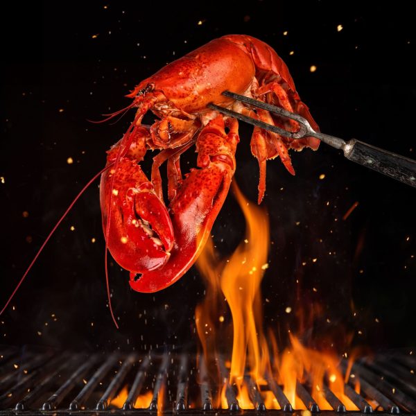 12 Live Maine Lobsters (1-1.2lbs) Online